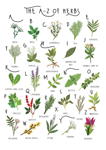 A-Z of Herbs Greetings Card