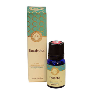 Eucalyptus Pure Essential Oil